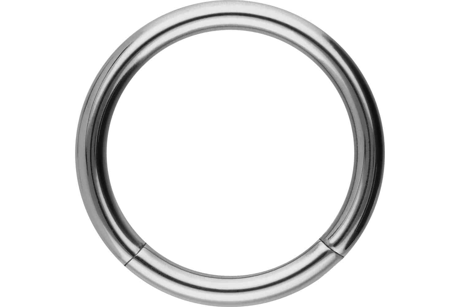 Titan Segmentring von Piercingline